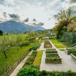 Garten in Bereiche aufteilen: So wird aus jedem Grundstück ein harmonisches Gartenparadies