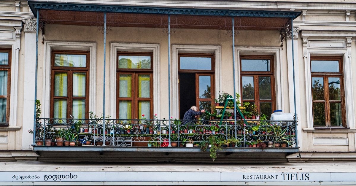 Pflegeleichte Balkonpflanzen: So wird dein Balkon zur blühenden Wohlfühloase