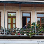 Pflegeleichte Balkonpflanzen: So wird dein Balkon zur blühenden Wohlfühloase