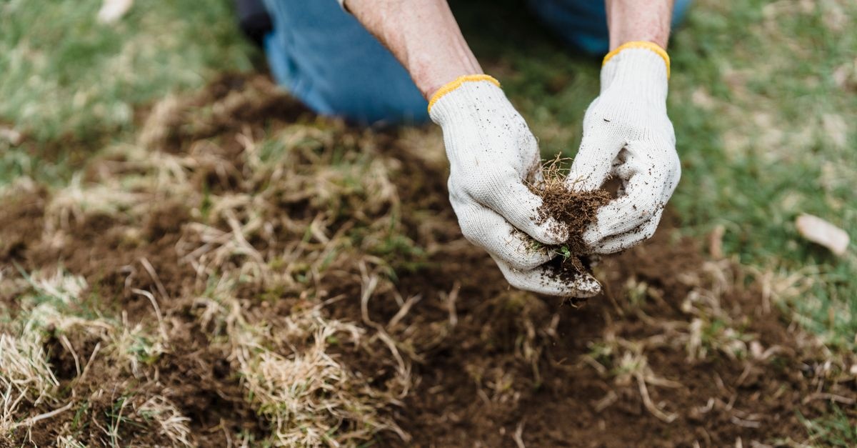 Unkraut dauerhaft reduzieren: 7 clevere Wege zu einem gepflegten Garten ohne ständiges Jäten