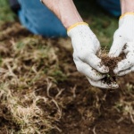 Unkraut dauerhaft reduzieren: 7 clevere Wege zu einem gepflegten Garten ohne ständiges Jäten