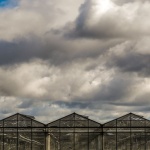 Treibhausgasbilanz richtig erstellen: Mit klaren Schritten zu mehr Klimatransparenz