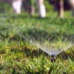 Rasen bei Trockenheit pflegen: So bleibt dein Grün auch im Sommer vital