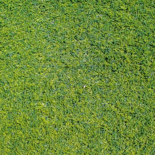 Frischer Start für den Rasen: So wird Ihr Grün im Frühling wieder dicht und kräftig