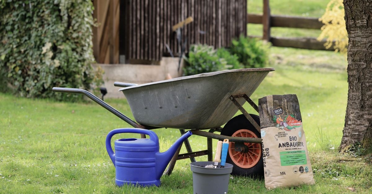 Boden-Kalkbedarf richtig bestimmen: So bringen Sie Ihren Garten ins Gleichgewicht